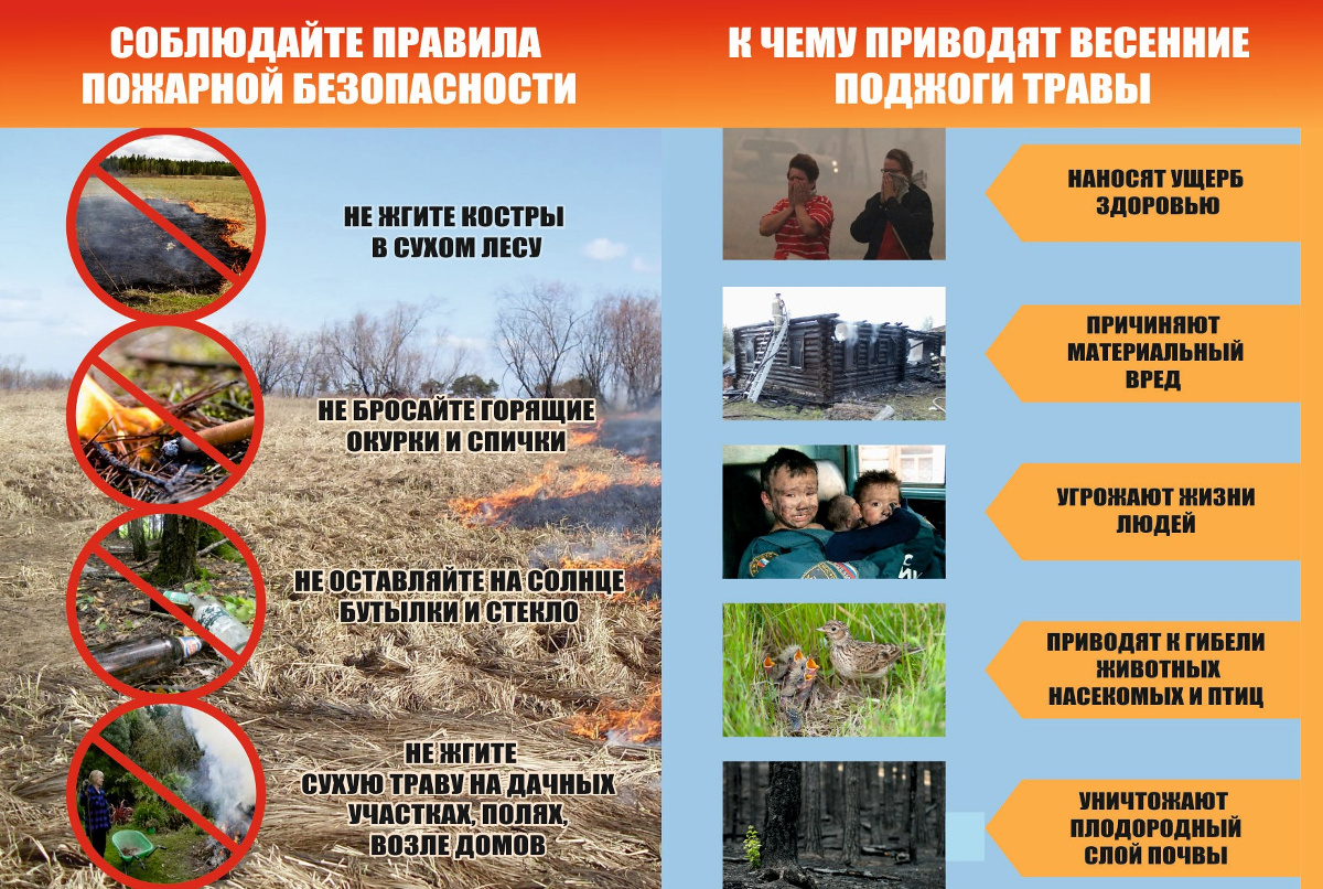 jk39iuoefdg1.jpg
